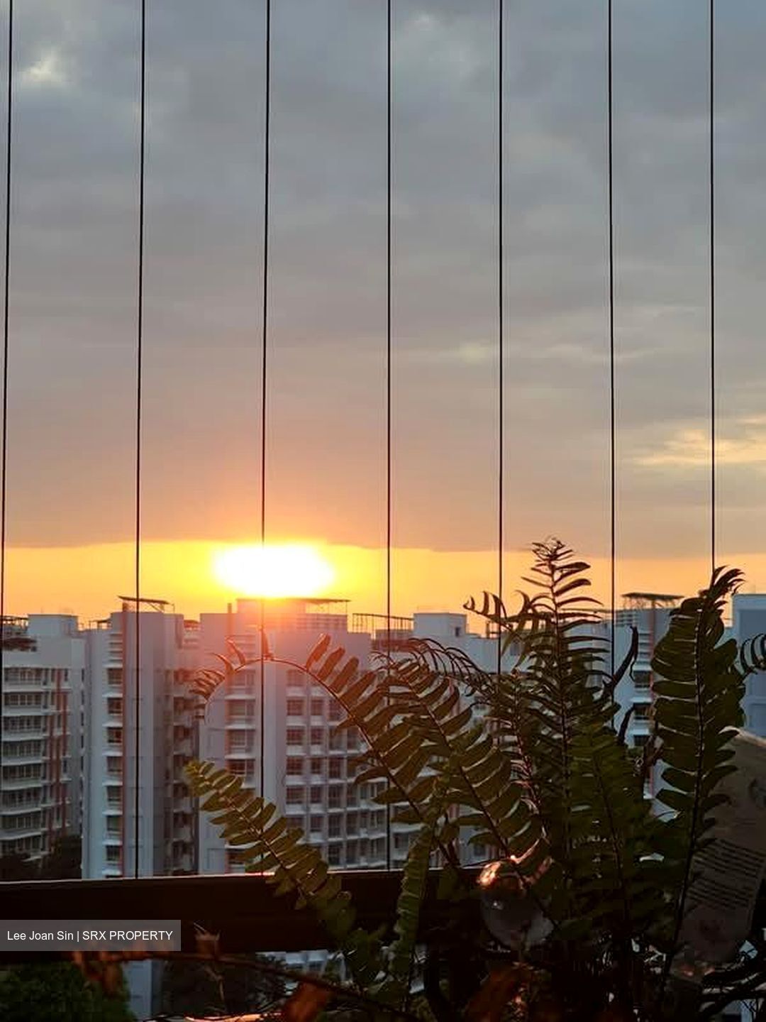 Esparina Residences (D19), Condominium #595530361